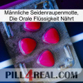 Männliche Seidenraupenmotte, Die Orale Flüssigkeit Nährt 13